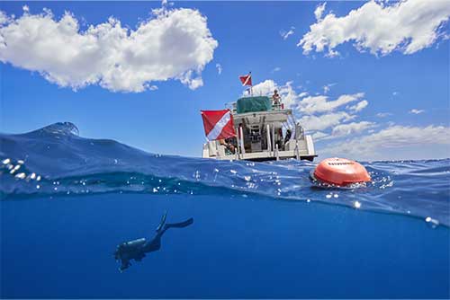 Réseau SubWave Descent S1